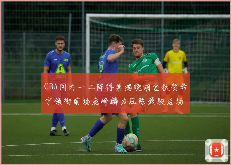 CBA国内一二阵得票揭晓胡金秋贺希宁领衔前场庞峥麟力压陈盈骏后场